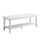 Table basse à deux niveaux avec étagère inférieure
